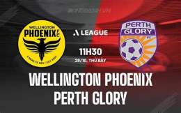 tính năng nổi bật câu lạc bộ bóng đá wellington phoenix