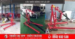 tính năng nổi bật đả cẩu bổng