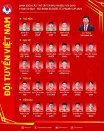 tính năng nổi bật danh sách đội tuyển bóng đá việt nam