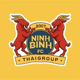 tính năng nổi bật hà nội fc gặp câu lạc bộ bóng đá ninh bình