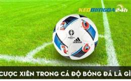 tính năng nổi bật kèo bóng đá aff cup hôm nay