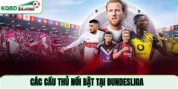 tính năng nổi bật lịch bóng đá bundesliga