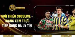 tính năng nổi bật những trang bóng đá uy tín