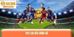 tính năng nổi bật soi kèo bóng đá pháp