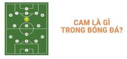 tính năng nổi bật tất cả vị trí trong bóng đá