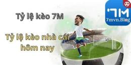 tính năng nổi bật tỷ lệ bóng đá 7m 2in1