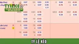 tính năng nổi bật tỷ lệ kèo nhà cái bóng đá nét