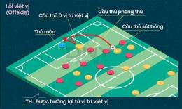 tính năng nổi bật vị trí bóng đá