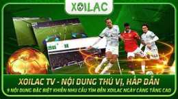 tính năng nổi bật xôi lạc bóng đá world cup