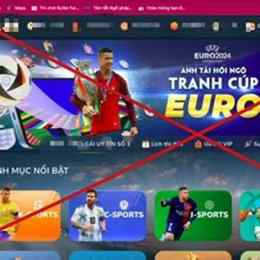 trang cá độ bóng đá trực tuyến