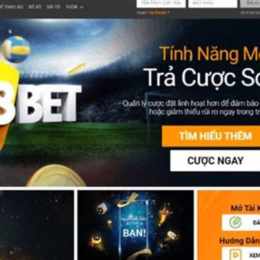 trang web cá độ bóng đá của việt nam