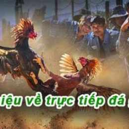 trực tiếp đá gà sa bông 67