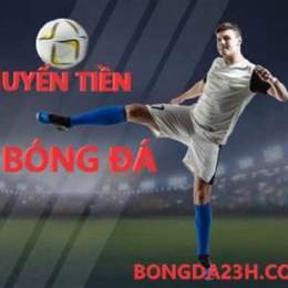 ty le ca cuoc bong da anh
