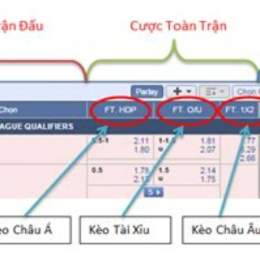 ty le ca cuoc bong da ngoai hang anh