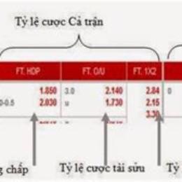 tỷ lệ cược bóng đá việt nam