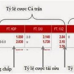 tỷ lệ cược bóng đá ý