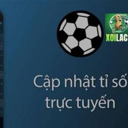 web ca cuoc bong da